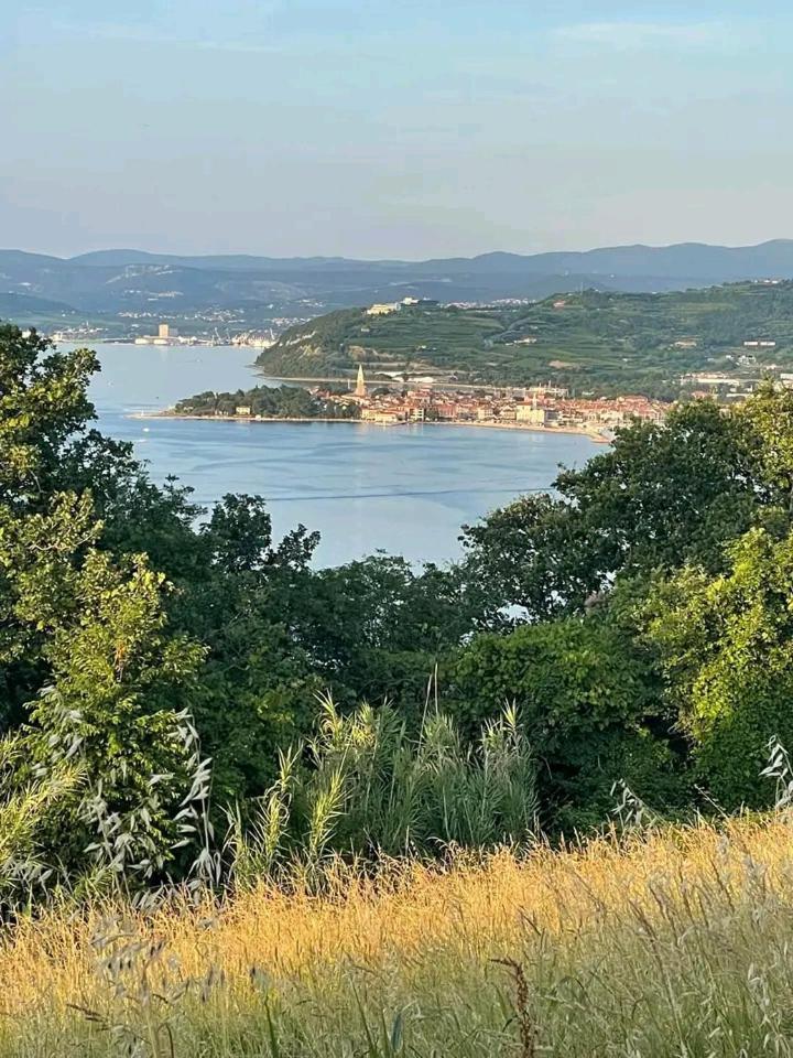 Vanilla Izola Buitenkant foto